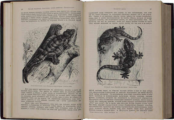 Полный комплект книг серии «Вся природа»: